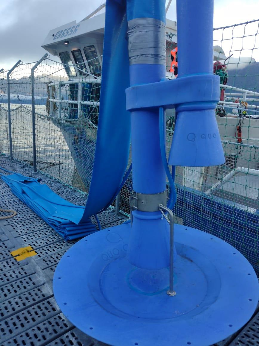 Sistema extracción de mortalidad